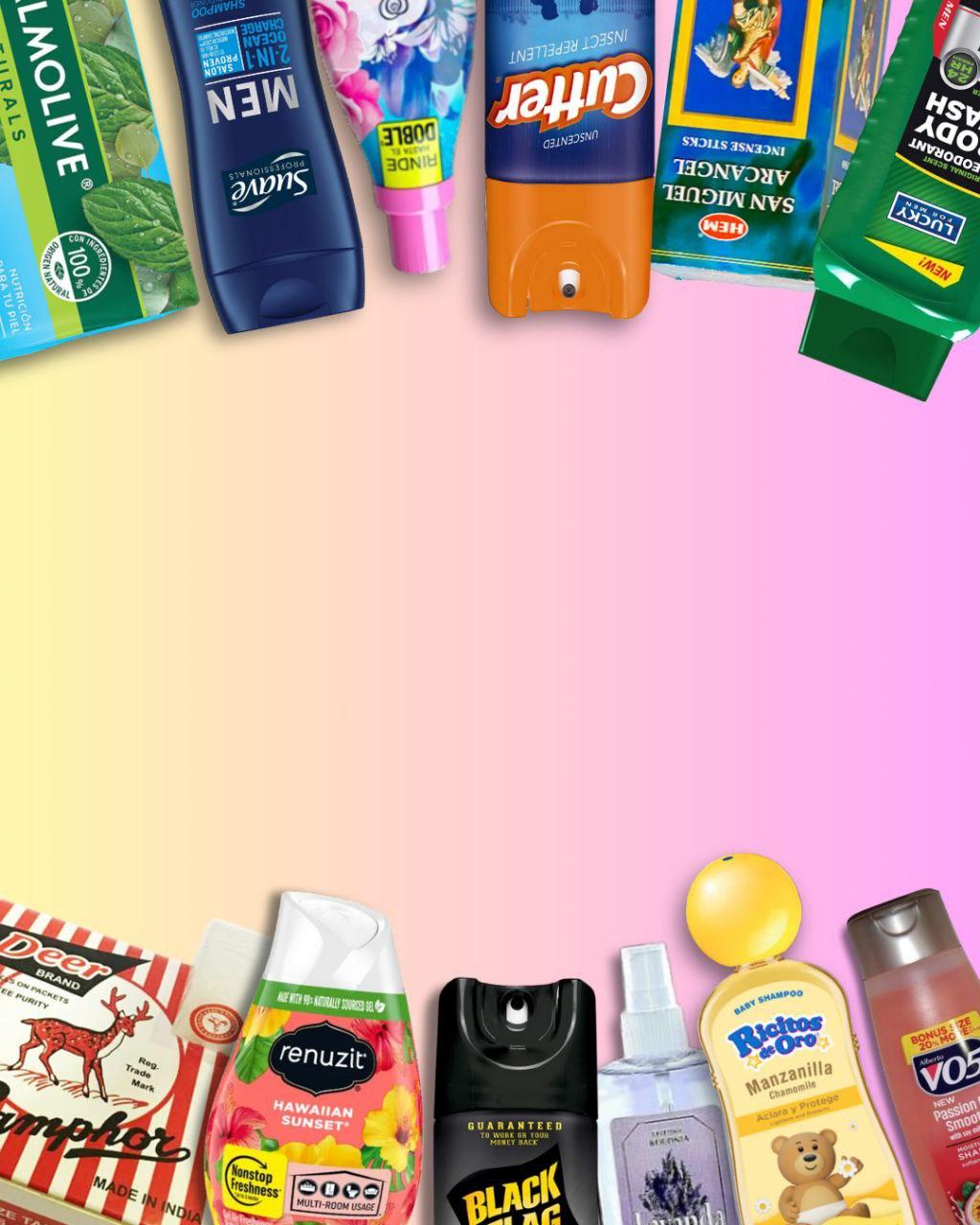 Catalog