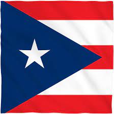 BANDANA PTO. RICO FLAG 12-PK