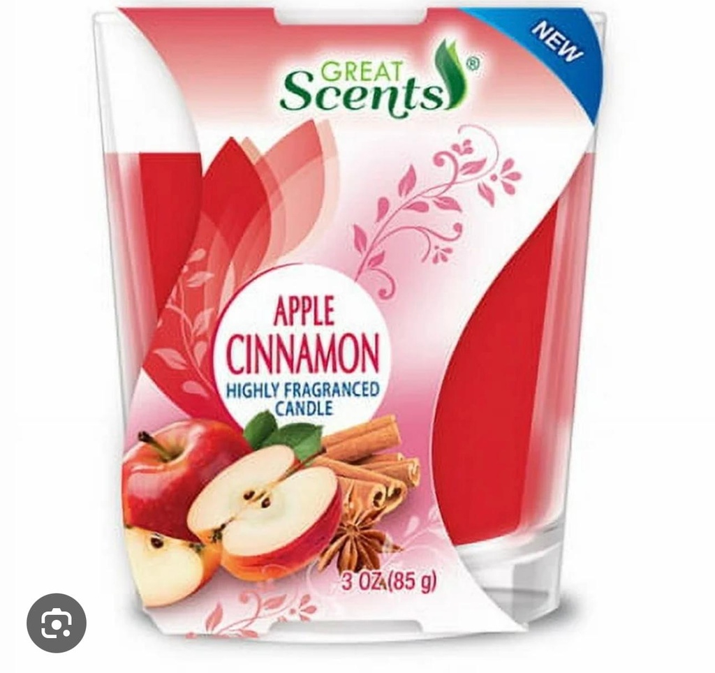 GREAT S. CANDLE JAR APPLE CINNAMON 3oz /12