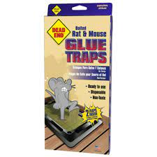 DEAD END RAT TRAP 2PK of 12 = 28 Pcs (1402)