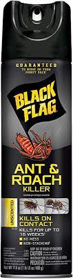 BLACK FLAG SPRAY ant & roach unsc. 17.5oz /12