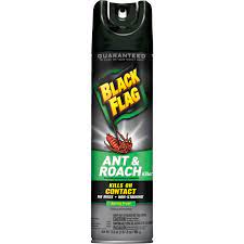 BLACK FLAG SPRAY ant & roach Spring Fresh 17.5oz /12