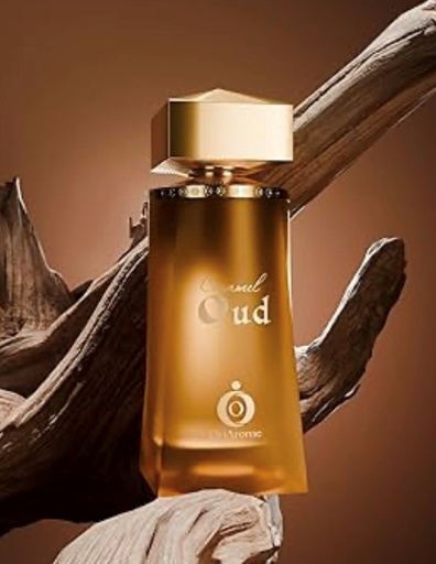 [6290362740841] OriArome CARAMEL OUD PJ PERFUME 3.4oz EDP