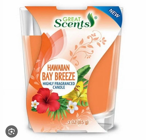 [808829929119] GREAT SCENTS CANDLE JAR Hawaian Bay Breeze 3oz /12